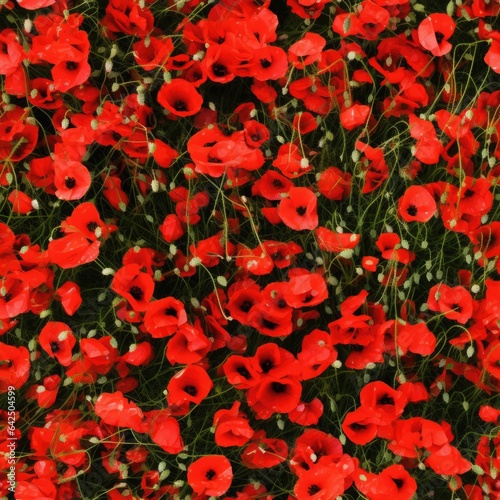 Seamless poppy field texture