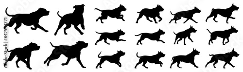 set of silhouettes of pitbull running pose. isolated on a transparent background. eps 10