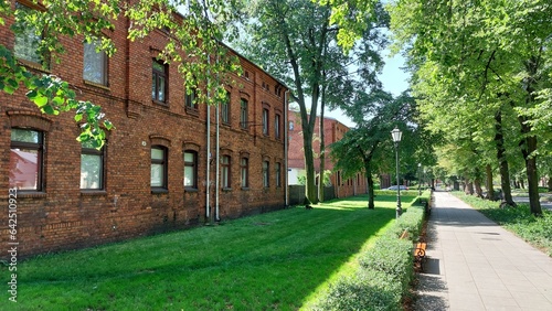 green street in the city with sidewalk and red brick buildings photo