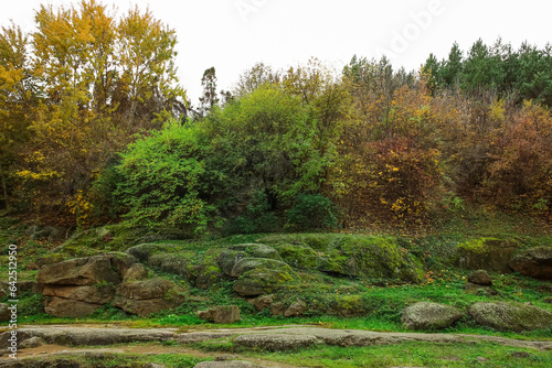 View of autumn forest with ...