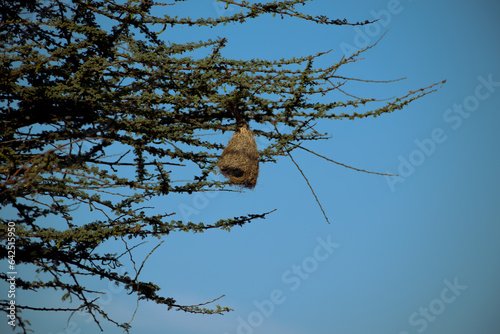 The Lovely Landscapes of Bada, Kutch
