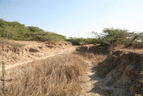 The Amazing Landscapes of Bada, Kutch