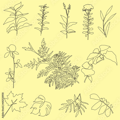 Wallpaper Mural Floral branch and minimalist flowers for logo or tattoo. Abstract outline flowers one line.  Minimal line art. Vector. Torontodigital.ca