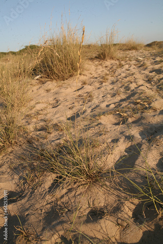 The Breathtaking Landscapes of Bada, Kutch