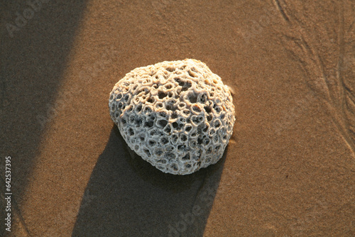 The Breathtaking Landscapes of Bada, Kutch