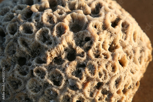 The Breathtaking Landscapes of Bada, Kutch