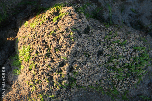 The Breathtaking Landscapes of Bada, Kutch