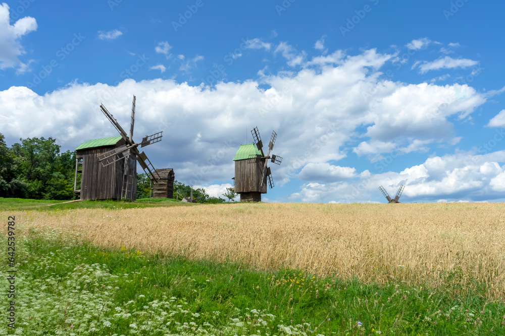 Fototapeta premium Summer landscape of traditional Ukrainian windmill in the countryside 