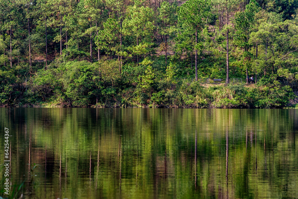 lake in the forest at Lau Shui Heung Reservoir lake in the forest at Lau Shui Heung Reservoir