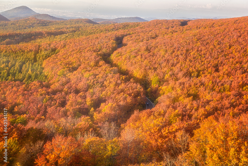autumn landscape in the mountains at Aomori autumn landscape in the mountains at Aomori