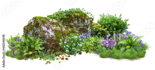 Fototapeta Naklejka Na Ścianę i Meble -  Cutout rock surrounded by flowers. Garden design isolated on transparent background. Flowering shrub and green plants for landscaping. Decorative shrub and flower bed