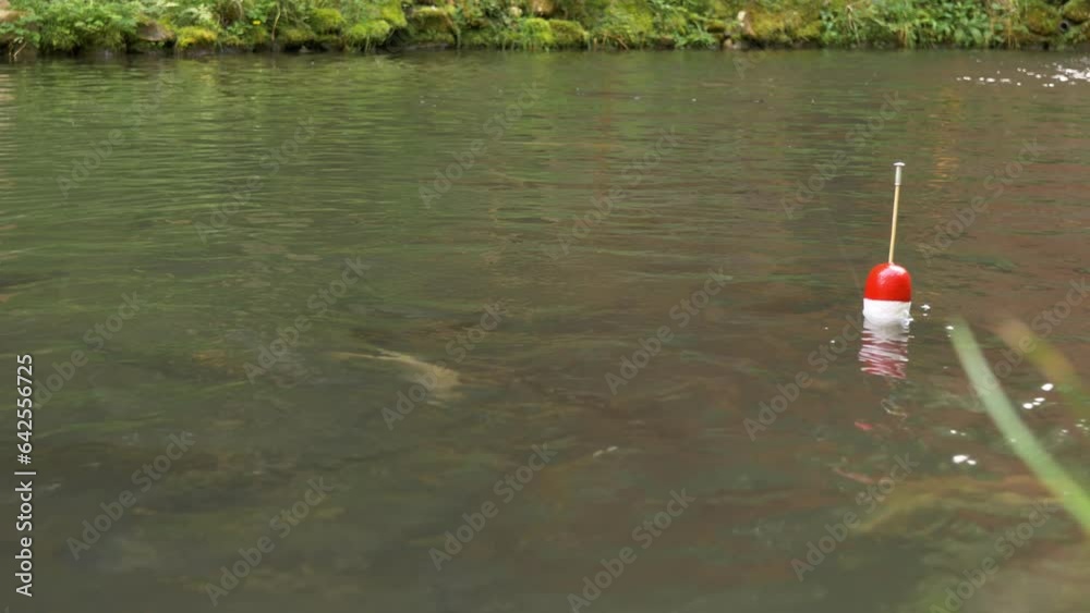 Fishing. The fish is trying to catch the bait by jumping out of the water. Fishing. The fish is trying to catch the bait by jumping out of the water.