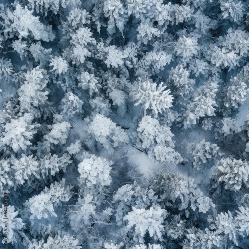 Seamless texture of winter forest © cherezoff