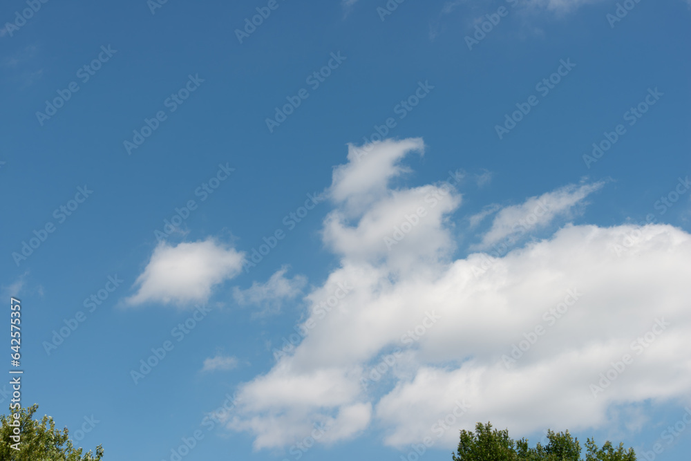 tree tops and clouds in the sky