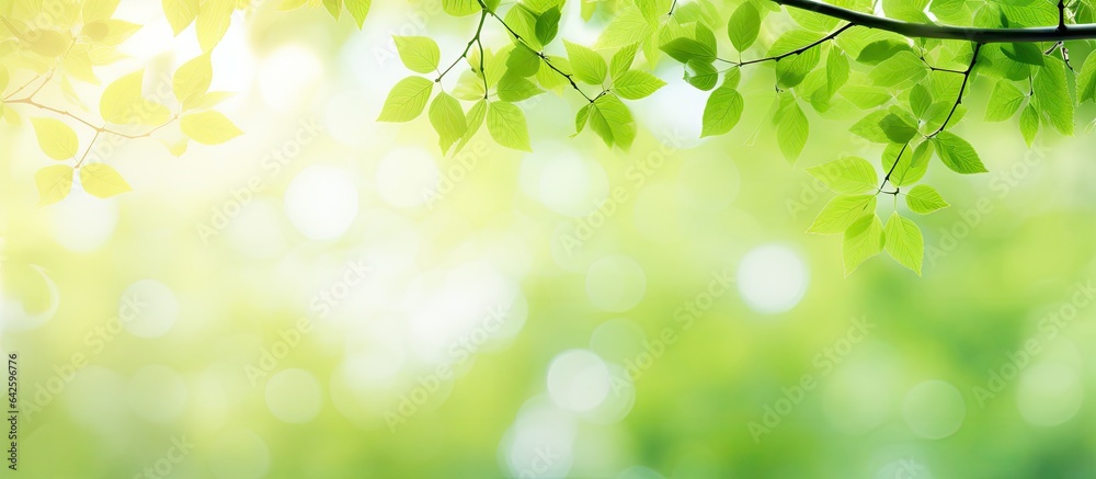 Abstract green bokeh image of a blurred tree for a summer background Abstract green bokeh image of a blurred tree for a summer background