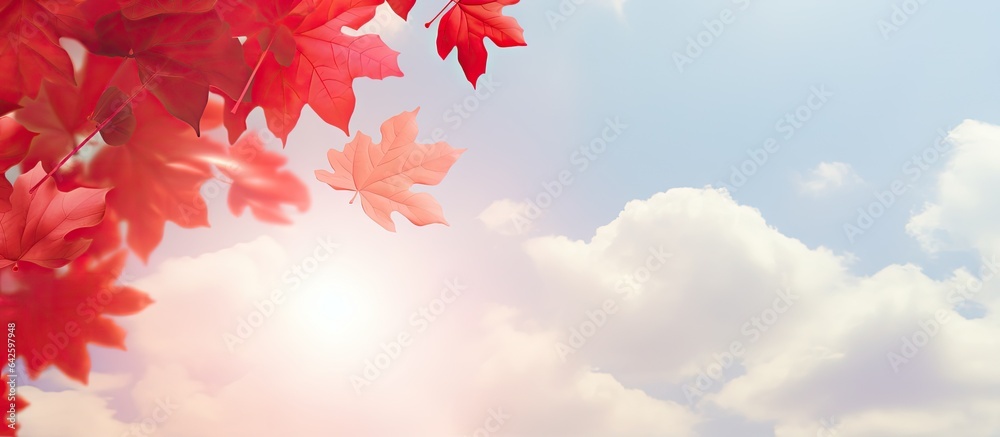Canada s Independence Day in autumn with red maple leaves digitally combined with lens flare and nature elements Canada s Independence Day in autumn with red maple leaves digitally combined with lens flare and nature elements