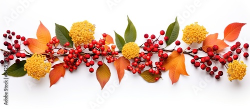 Fall inspired flat lay of a...