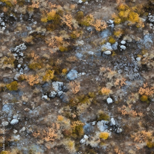 Seamless texture. Northern tundra