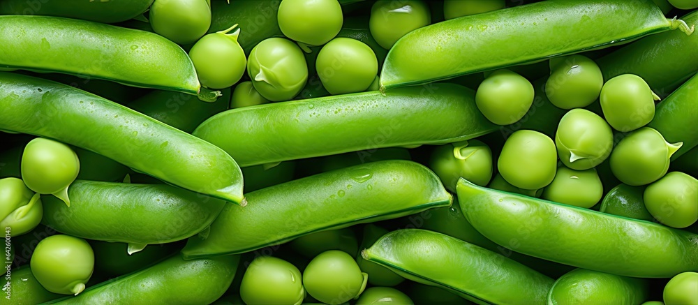 Fresh green food selection for healthy vegetarian diet concept with copy space Top view Fresh green food selection for healthy vegetarian diet concept with copy space Top view