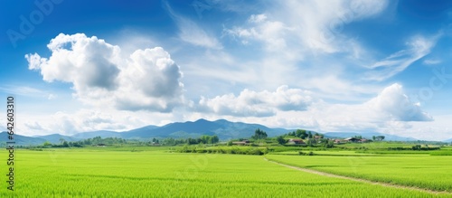 Scenic rural landscape of lush green fields under sunny skies with clouds above