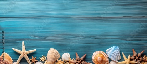 Sea animals including starf...