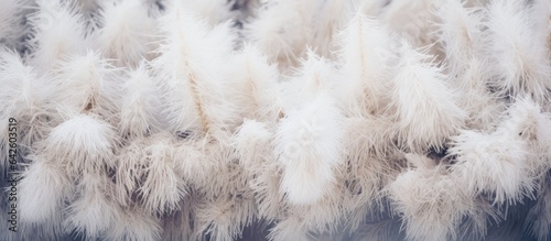 Selective focus on fuzzy tr...