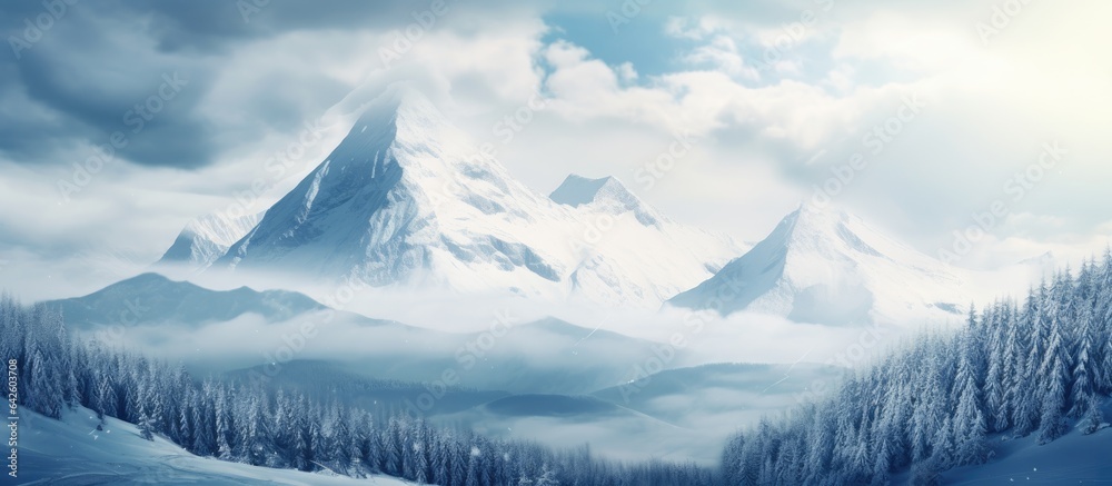 Snow and clouds cover the peak of a mountain in a harsh winter landscape with spruce trees on the slopes