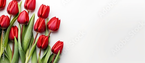 Spring tulips on a white ba...