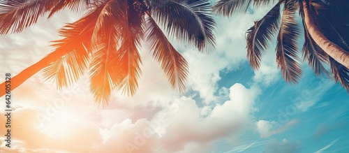 Vintage filtered tropical palm tree with sunshine in blue sky and abstract clouds as background Summer vacation and adventure in nature concept © vxnaghiyev