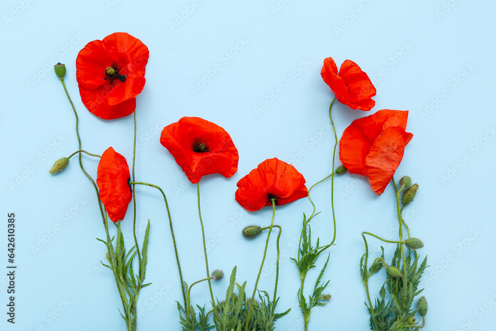 Fototapeta premium Composition with beautiful poppy flowers on color background, closeup. Remembrance Day