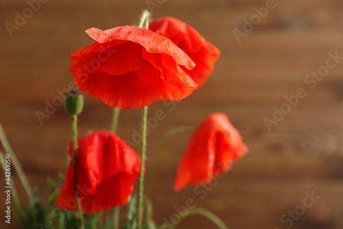 Beautiful poppy flowers on wooden background, closeup. Remembrance Day