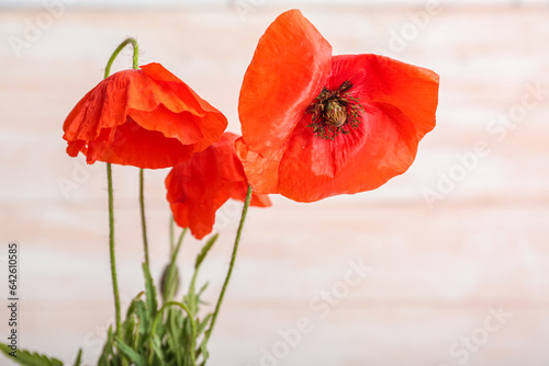 Beautiful poppy flowers on light wooden background  closeup. Remembrance Day