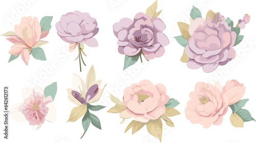 Sweet Flower Branch: Delicate Floral Illustrations for Your Creative Projects