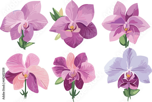 Sweet Flower Branch: Delicate Floral Illustrations for Your Creative Projects