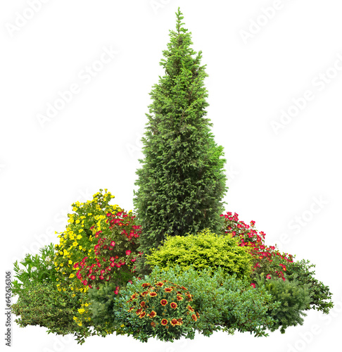 Cutout flowerbed. Plants and flowers isolated on transparent background. Flower bed for garden design. Luxurious foliage of green bushes and shrubs