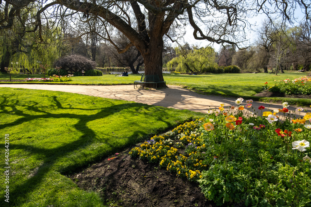 Obraz premium Beautiful view of Castlemaine Botanical Garden with clean and neat grass lawn, flowers , large open outdoor space, and some people sitting on the ground to enjoy sunshine. Victoria Australia.