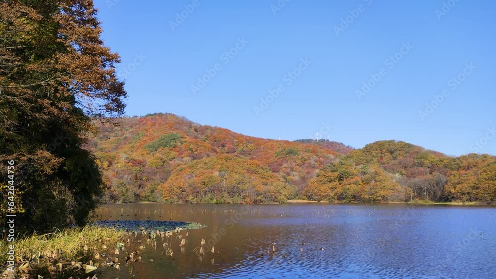 秋の大山上池 秋の大山上池