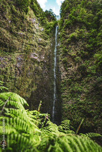 Picturesque natural waterfall overgrown with plants and ferns in Madeira rainforest. Levada of Caldeir  o Verde  Madeira Island  Portugal  Europe