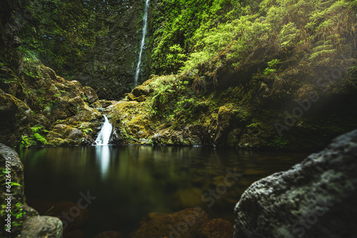 Long exposure of picturesque pool with green plants and large fern overgrown rainforest waterfall in the background. Levada of Caldeirão Verde, Madeira Island, Portugal, Europe