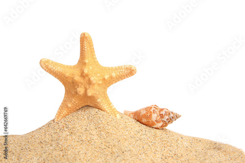 Beautiful sea star, shell and sand isolated on white