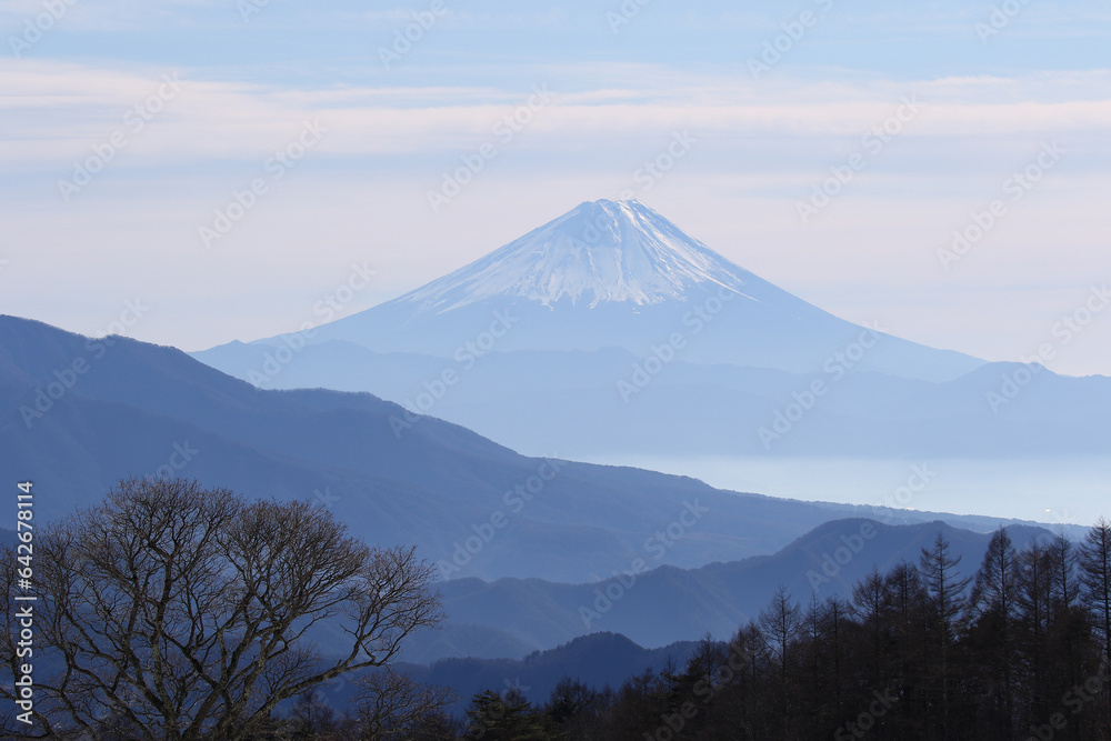 八ヶ岳牧場よりの富士冬景