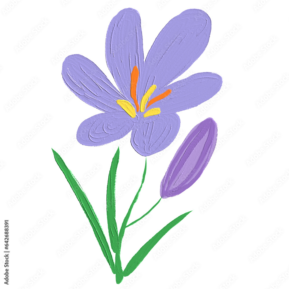 Saffron flower oil paint illustration Saffron flower oil paint illustration