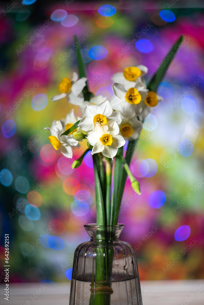 水仙の花 初春のイメージ 水仙の花 初春のイメージ