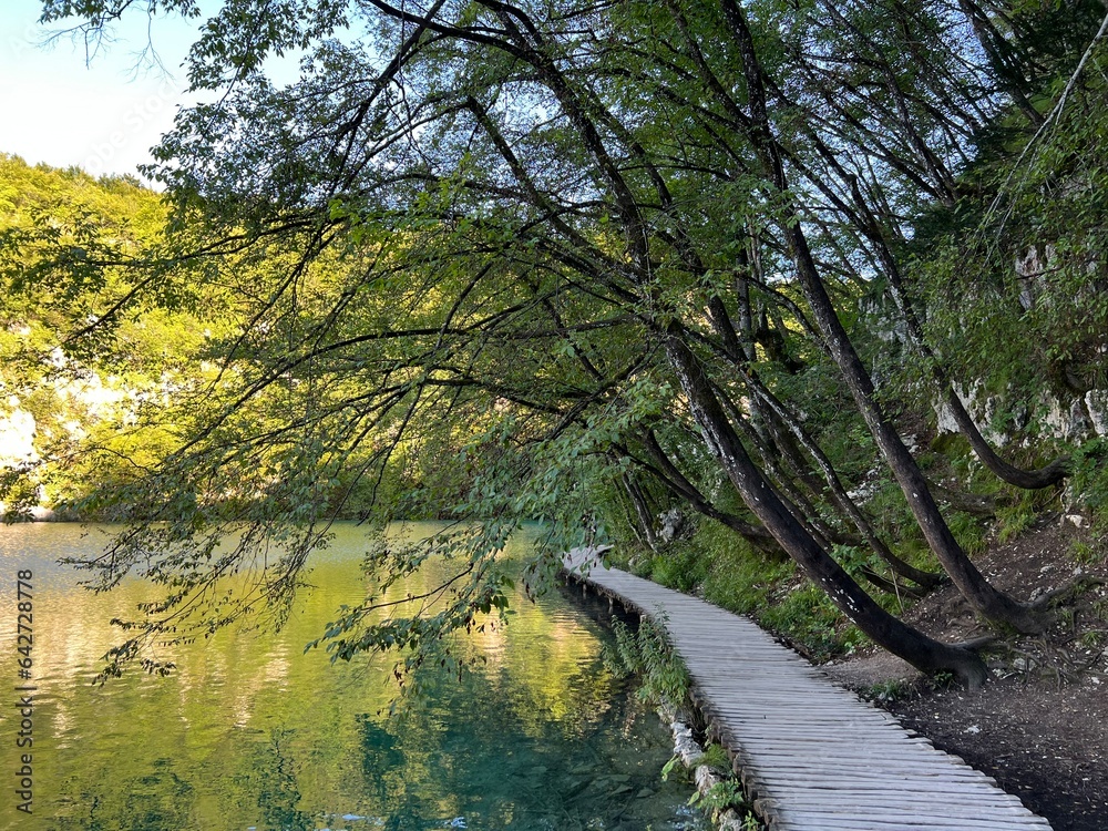 Wooden paths and walkways along the lakes and through the forest in the Plitvice Lakes National Park - Plitvica, Croatia (Drvene staze i šetnice u Nacionalnom parku Plitvička jezera - Hrvatska) Wooden paths and walkways along the lakes and through the forest in the Plitvice Lakes National Park - Plitvica, Croatia (Drvene staze i šetnice u Nacionalnom parku Plitvička jezera - Hrvatska)