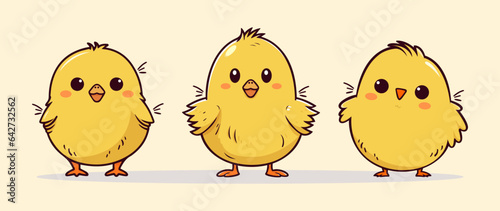Set of cute yellow little cartoon chick isolated on background. Funny farm bird design, cartoon or comic style, logo, card. Vector Illustartion. Hand drawn. Funny characters.  © Meowcher24