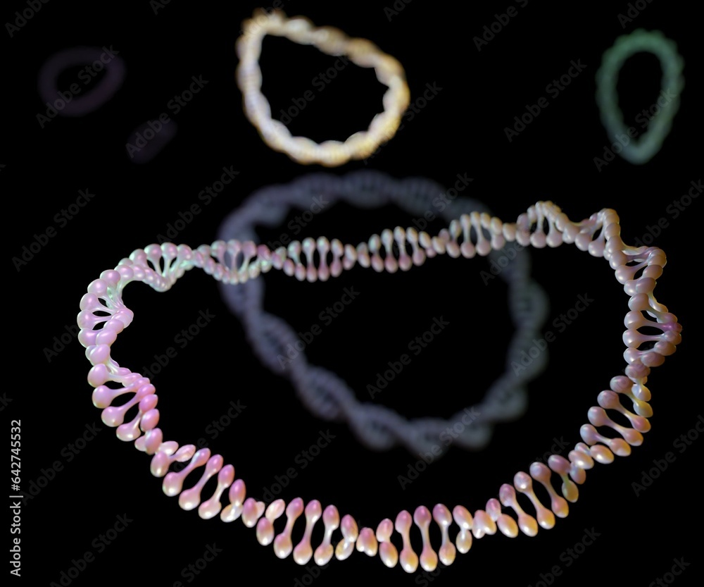 Multiple DNA plasmids inside of bacteria 3d rendering Stock ...