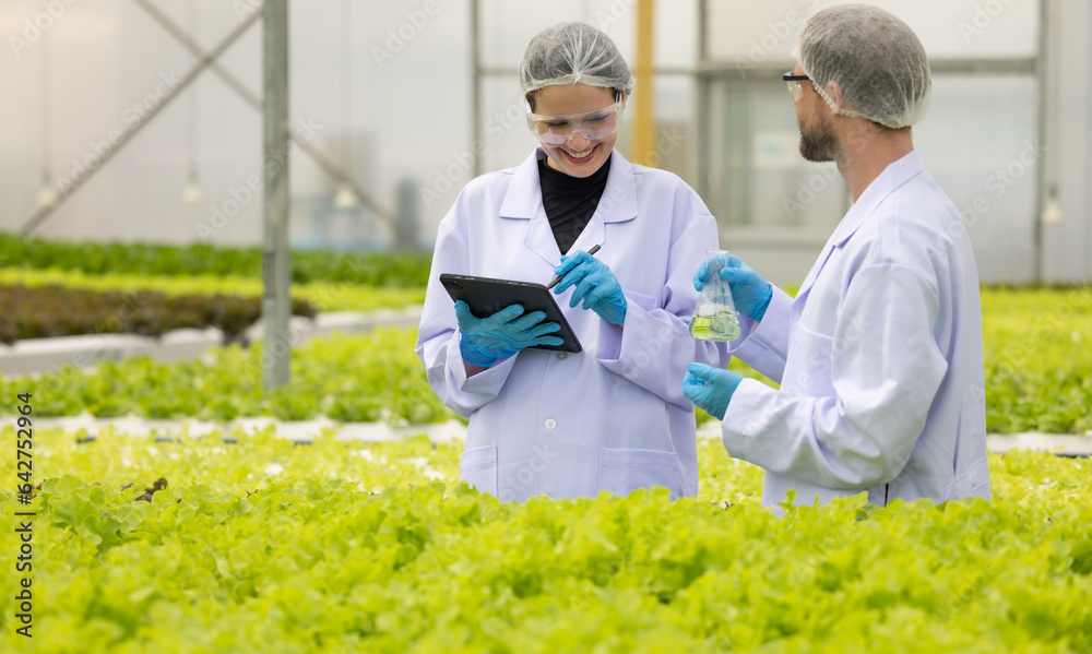 Hydroponic scientists assess solutions in flask, promoting sustainable growth with optimal nutrient Hydroponic scientists assess solutions in flask, promoting sustainable growth with optimal nutrient