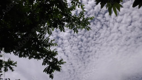 青空に変わった雲