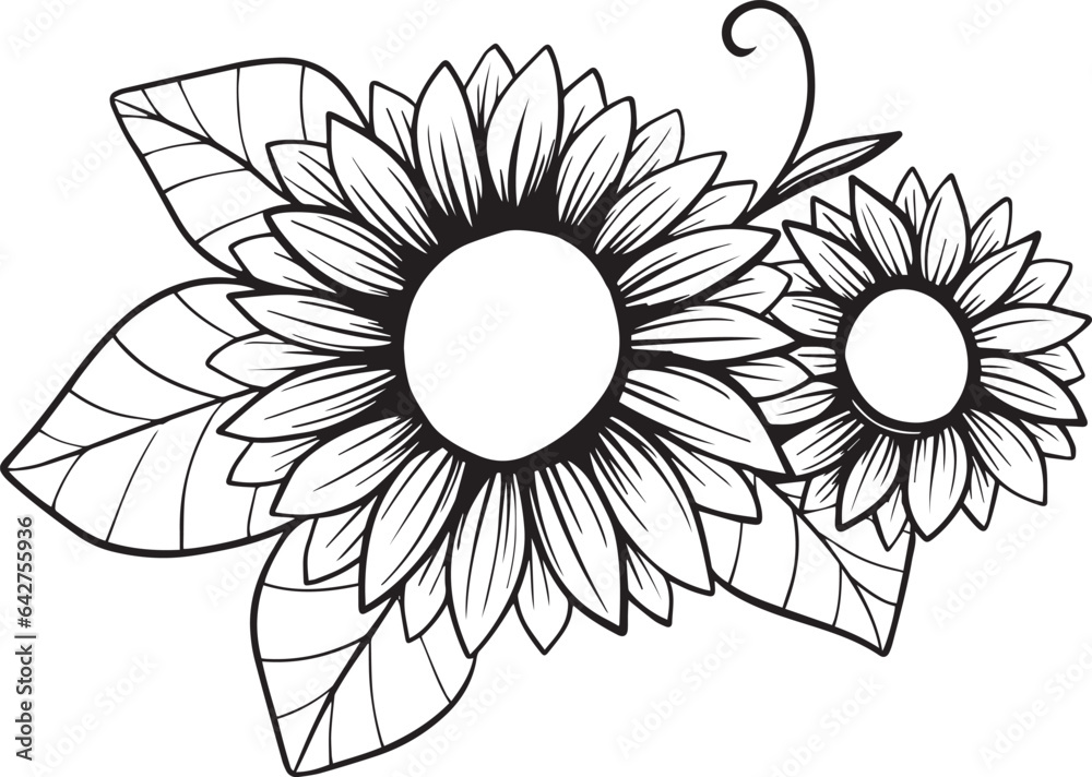 Sunflower Line Art Sunflower Line Art