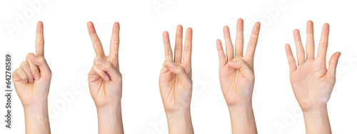 Hand showing count from one to five fingers signs on isolated background. photo